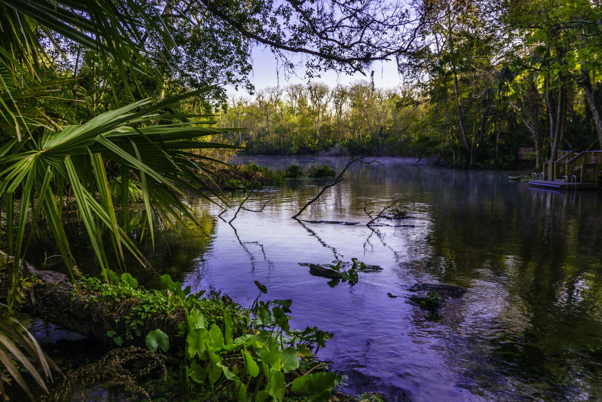 Wekiwa Springs State Park