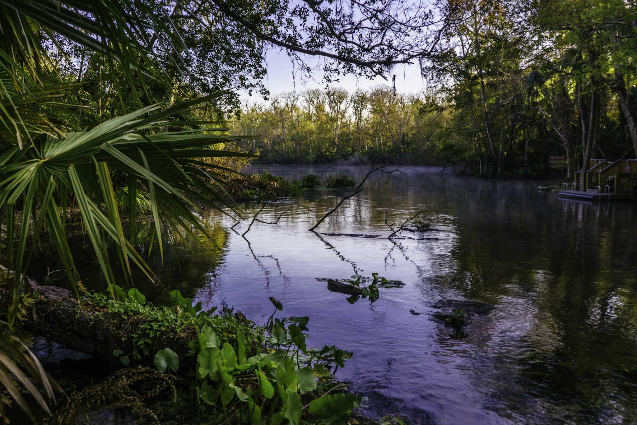 Parque Estatal Wekiwa Springs