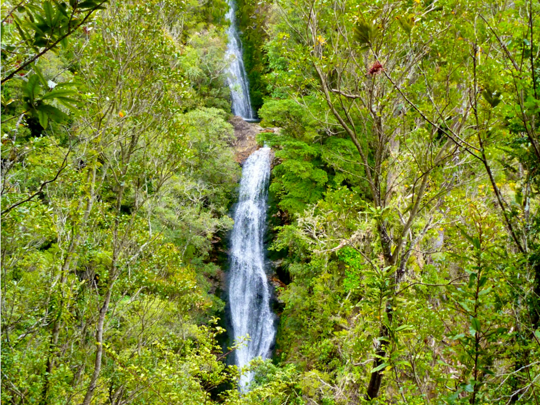 Wentworth Valley Falls