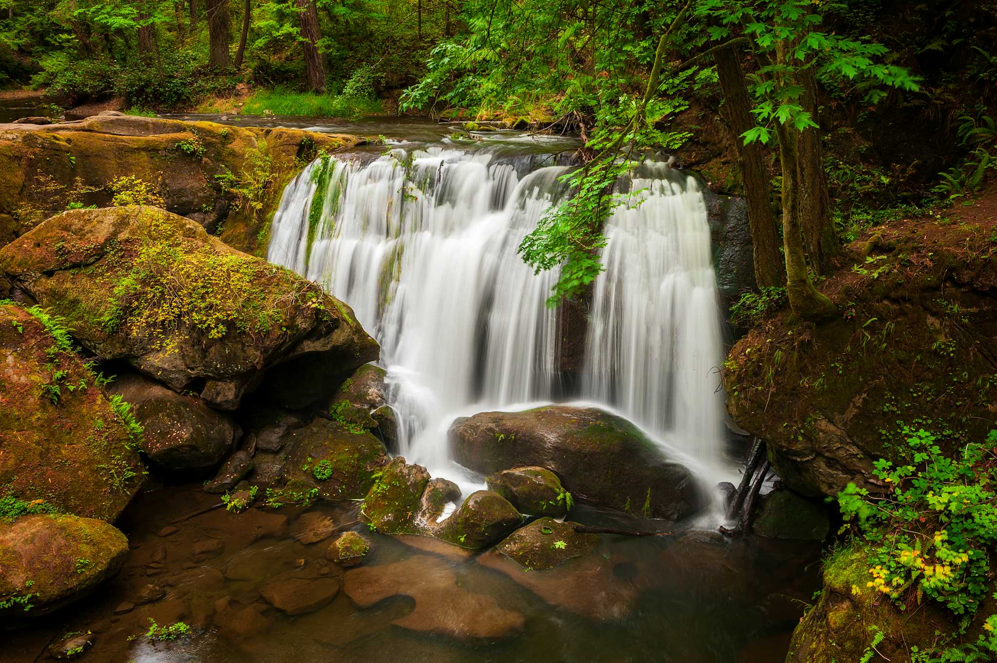 Whatcom Falls Park