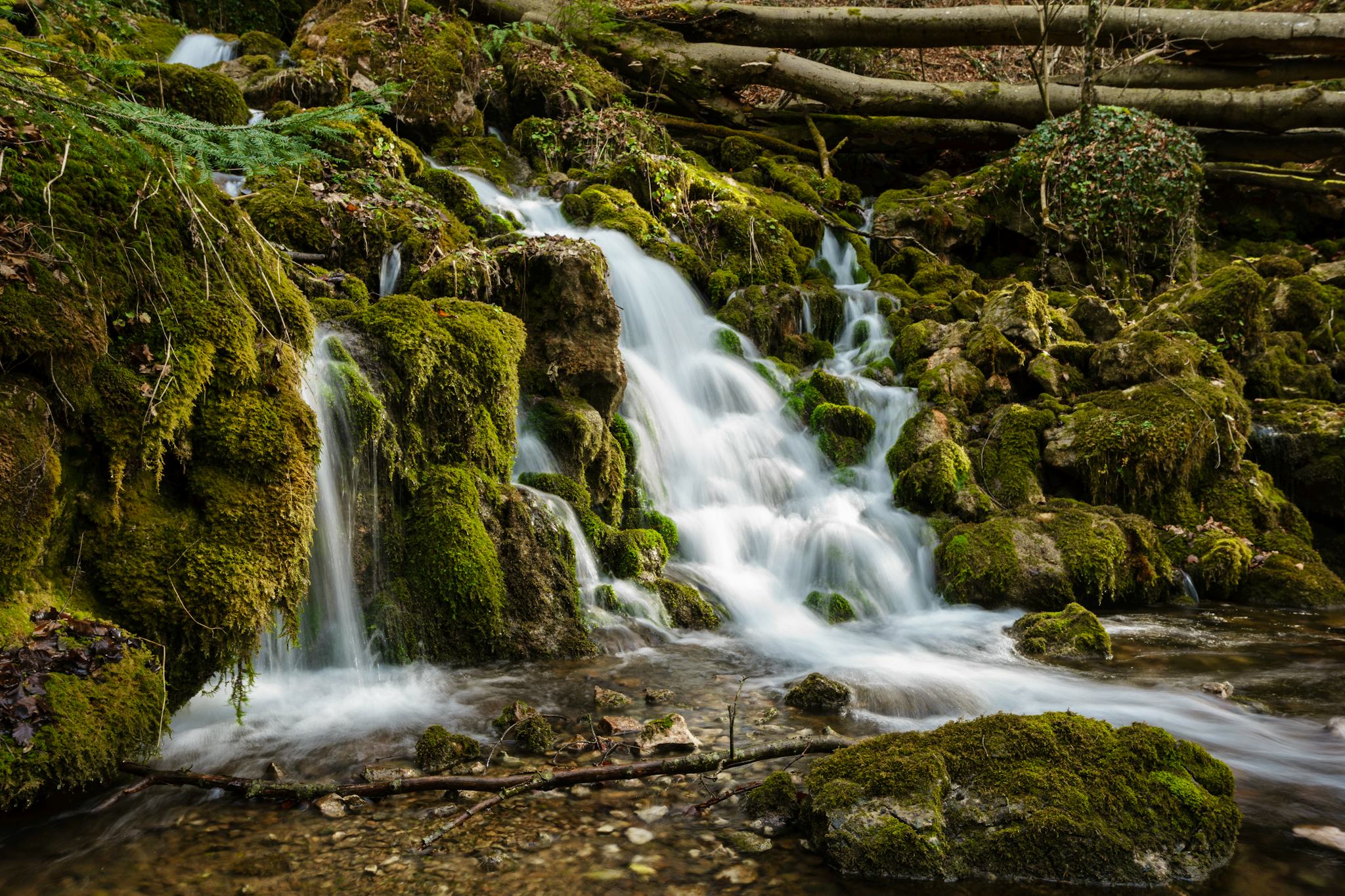 Woerschach Gorge